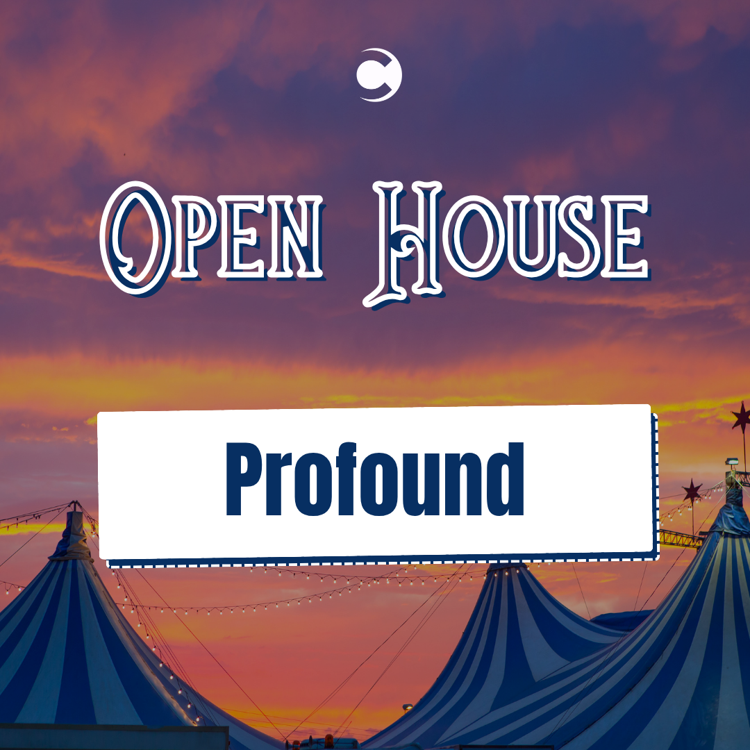 Open House - Profound Face Treatment